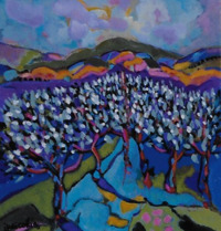 Grove Of Olive Trees